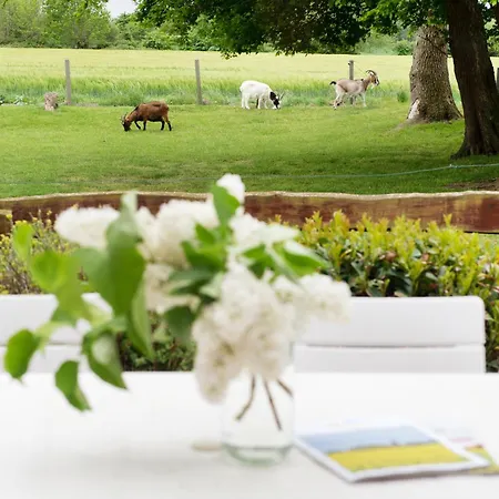 Bauernhof Hoeper-rauert - Nr 9 Wellnesshaushaelfte Apartament *